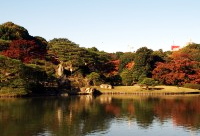 travel,japan,tokyo.tuorism,recommendation